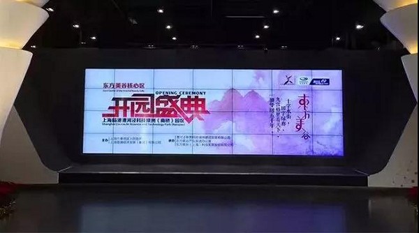 今天，全世界都在想方設法欺騙你；而我們始終如一